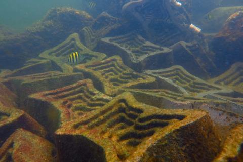 ECOncrete foundations have been tailored for providing a home for marine life